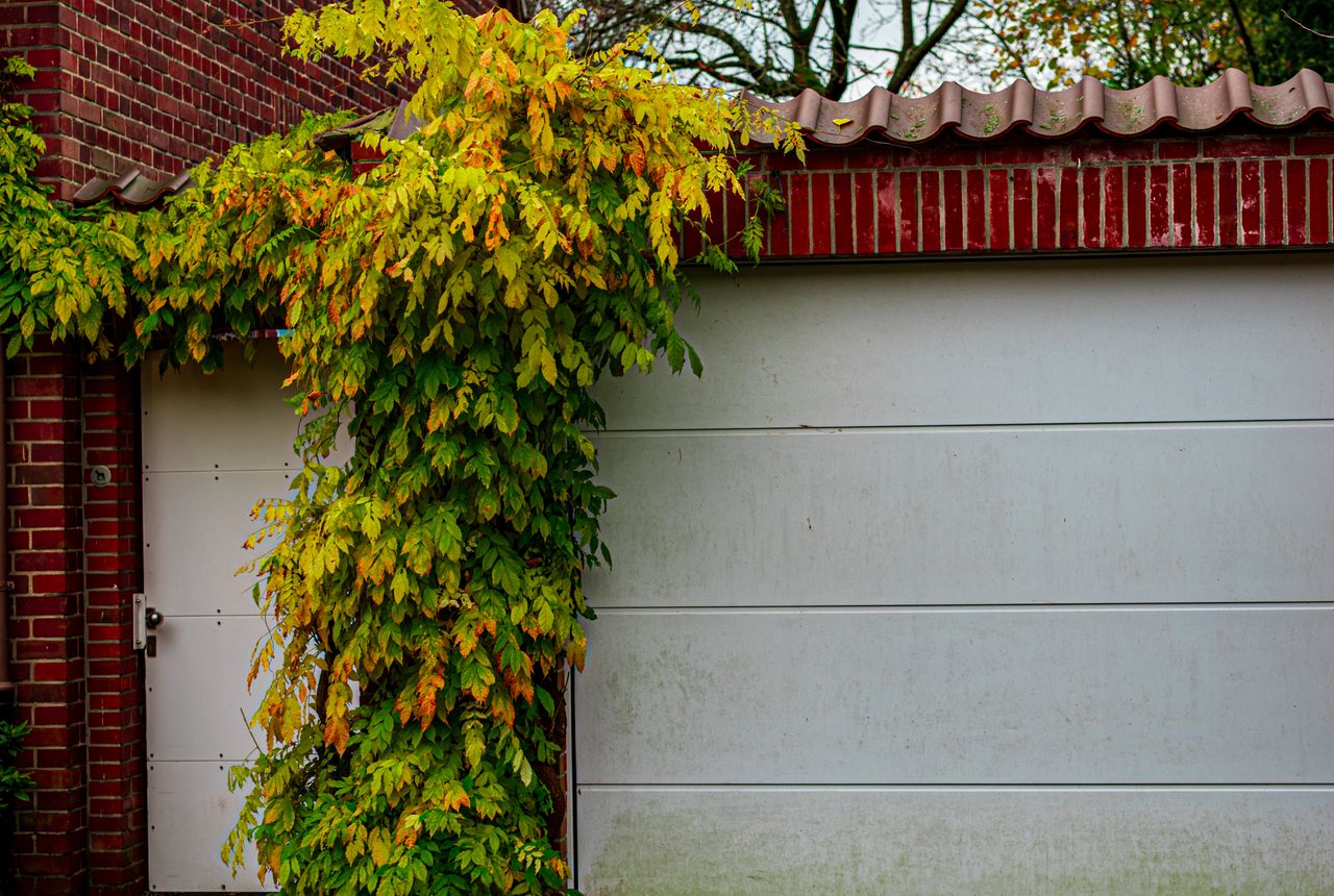 Garage door service in Shakopee, MN
